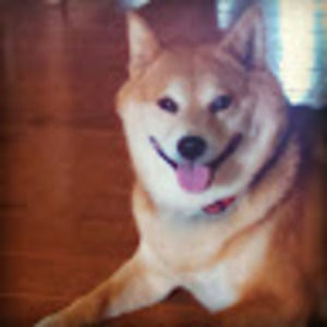 Meet your Posher, Lynn